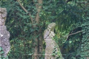 Lindahlbrunnen im Sanderglasic